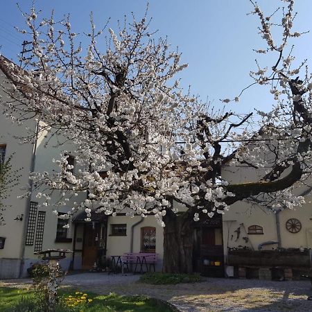 Ferienwohnung Zum-Alten-Kirschbaum Limburg an der Lahn Εξωτερικό φωτογραφία