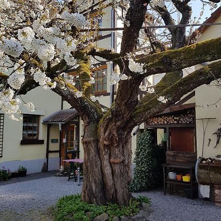 Ferienwohnung Zum-Alten-Kirschbaum Limburg an der Lahn Εξωτερικό φωτογραφία
