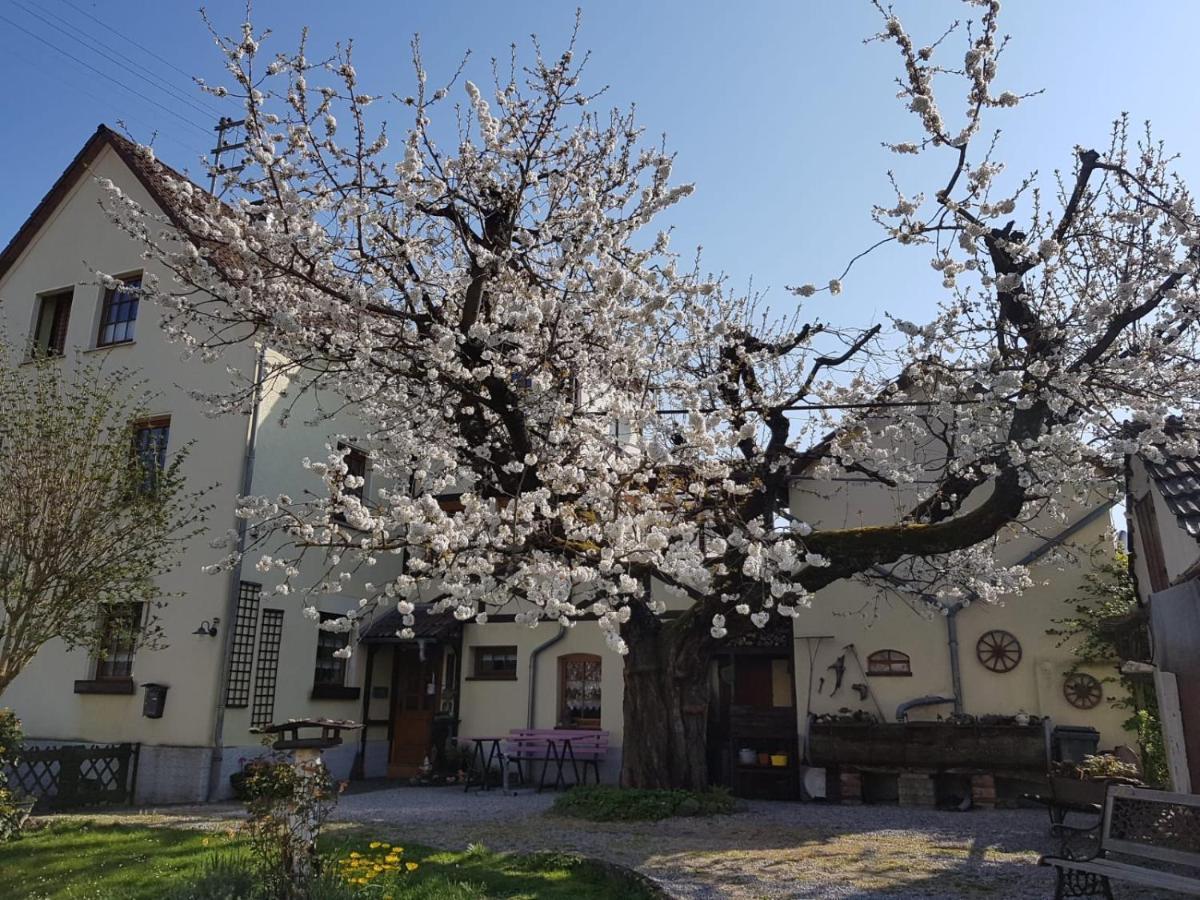 Ferienwohnung Zum-Alten-Kirschbaum Limburg an der Lahn Εξωτερικό φωτογραφία