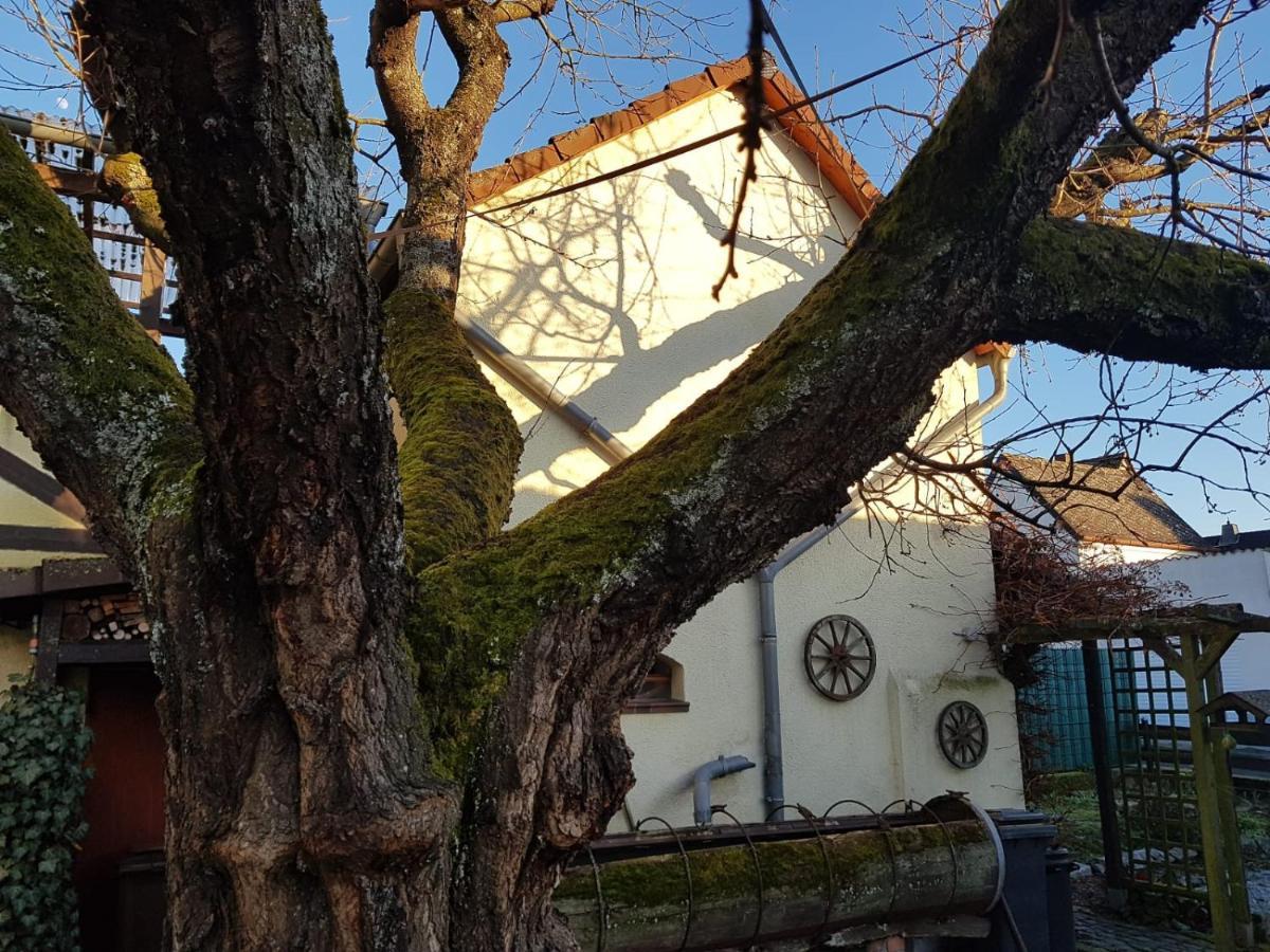 Ferienwohnung Zum-Alten-Kirschbaum Limburg an der Lahn Εξωτερικό φωτογραφία