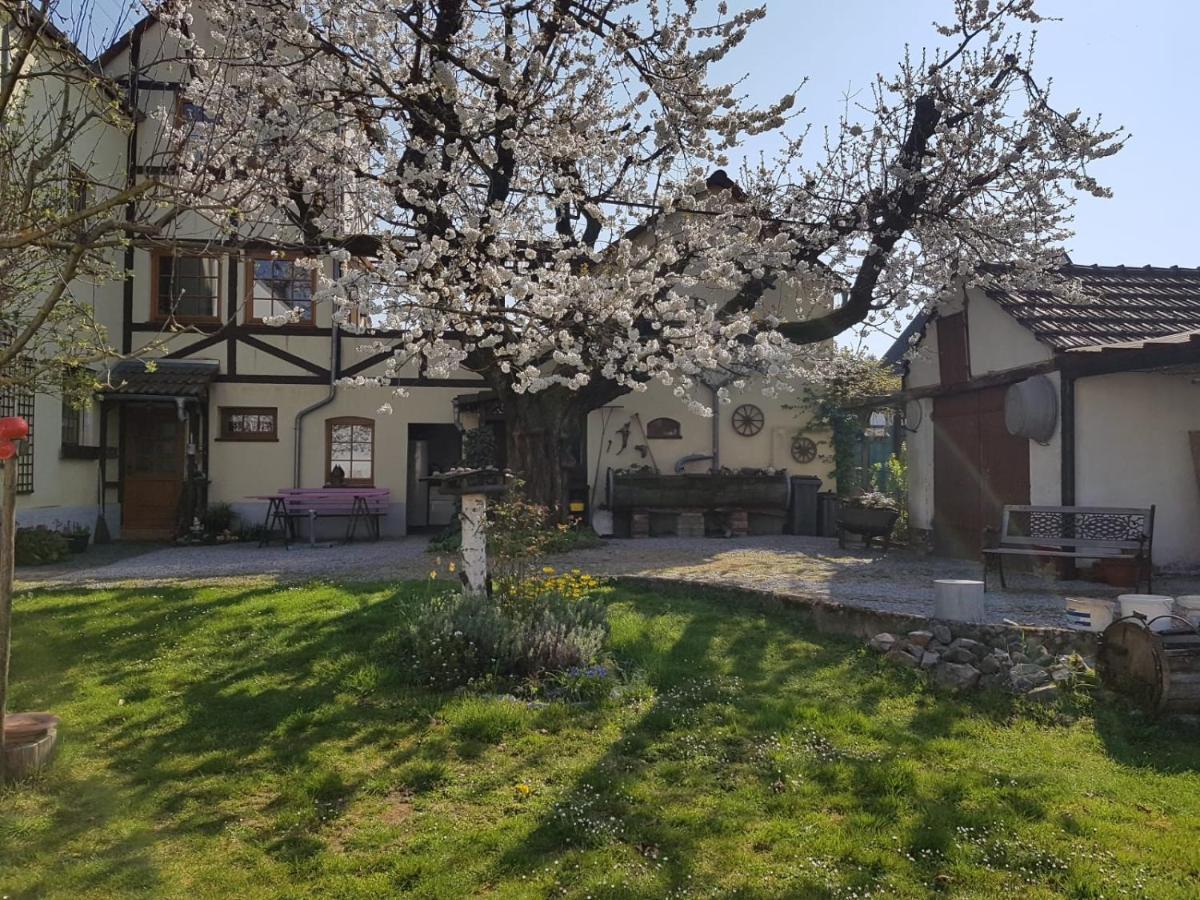 Ferienwohnung Zum-Alten-Kirschbaum Limburg an der Lahn Εξωτερικό φωτογραφία